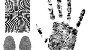 في 3 خطوات.. إزالة السوابق الجنائية من سيستم وزارة الداخلية بخطوات قانونية موثقة وسهولة